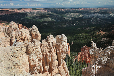 Bryce Canyon : Utah : Landscape Photos : Richard Moore : Photographer
